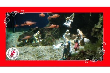 Presepe in vasca all'Acquario